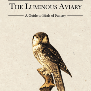 The Luminous Aviary - Image 1