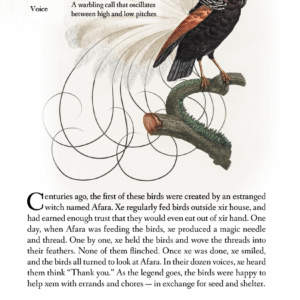 The Luminous Aviary - Image 2