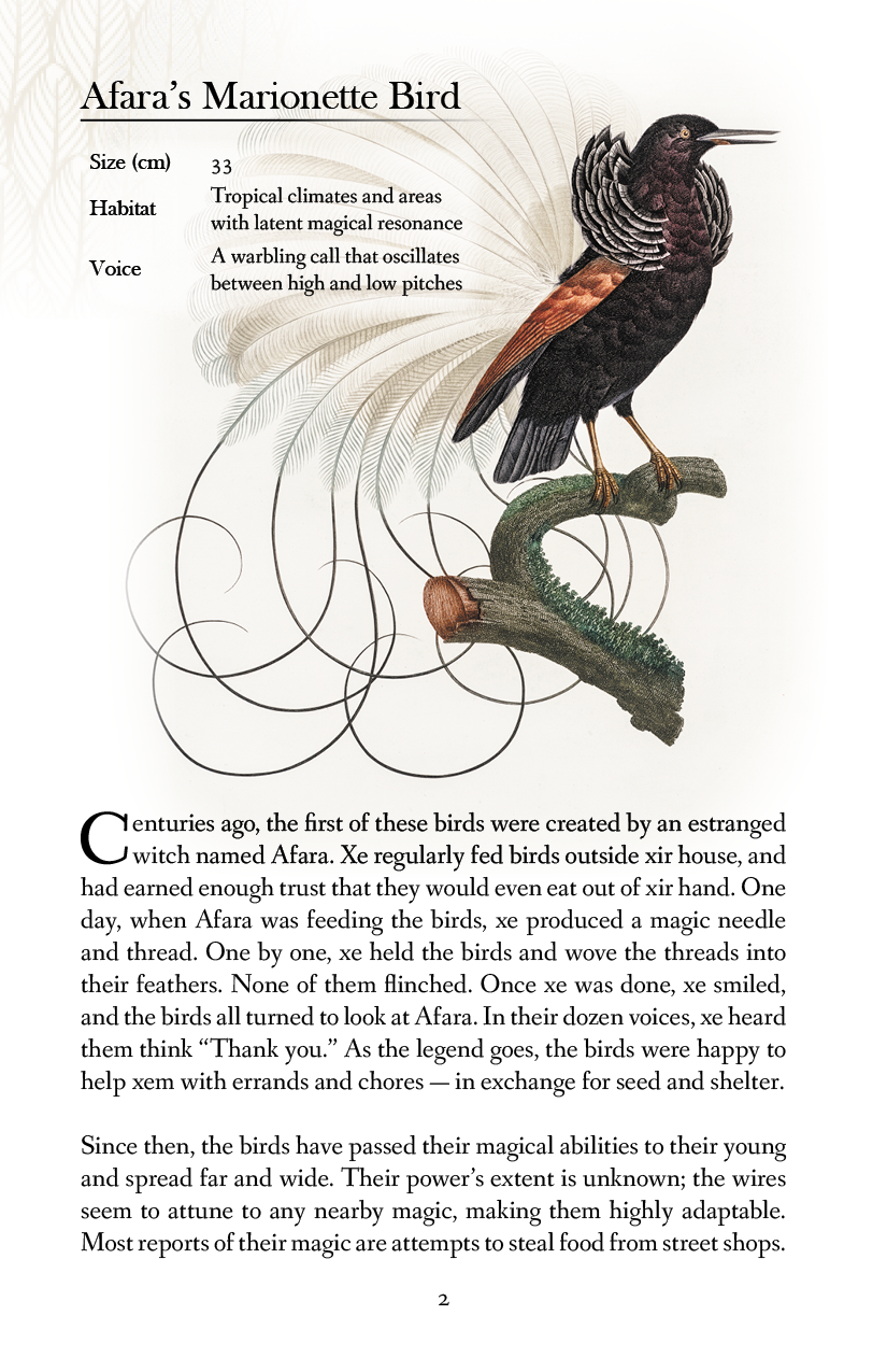 The Luminous Aviary - Image 2